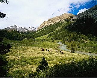 开放世界农场冒险《光年边境》3月19日推出EA版 免费试玩已上线